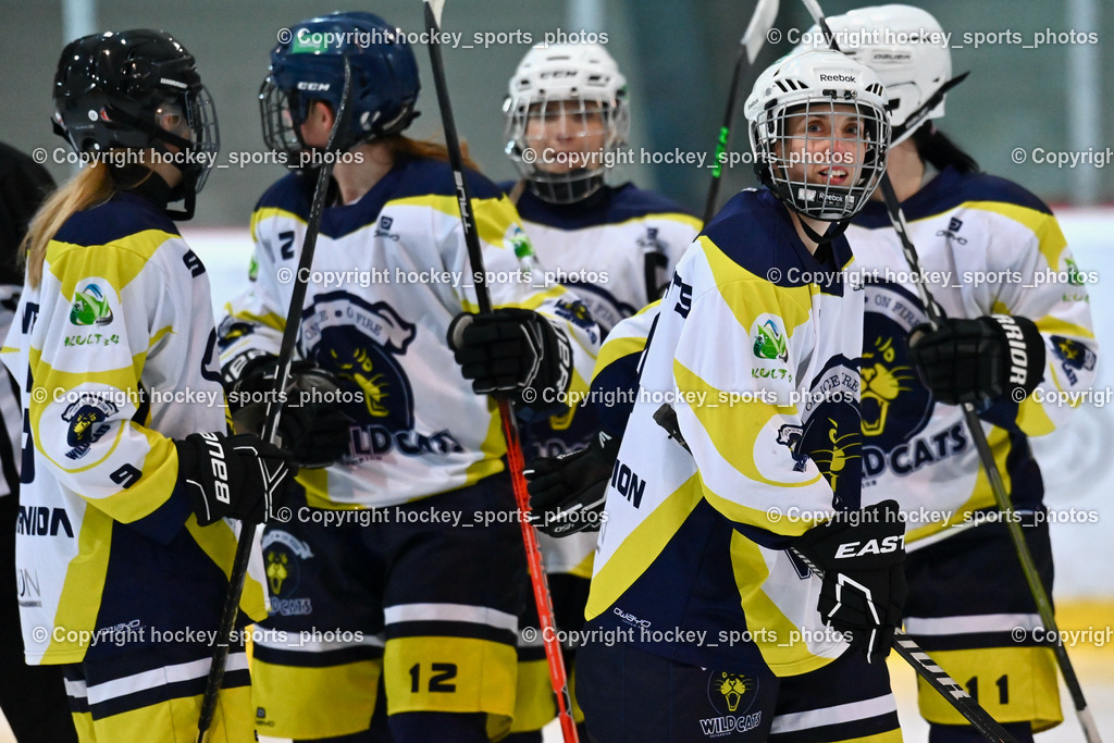 BST_6357 | hockey sports photos, Pressefotos, Sportfotos, hockey247, win 2day icehockeyleague, Handball Austria, Floorball Austria, ÖVV, Kärntner Eishockeyverband, KEHV, KFV, Kärntner Fussballverband, Österreichischer Volleyballverband, Alps Hockey League, ÖFB, 