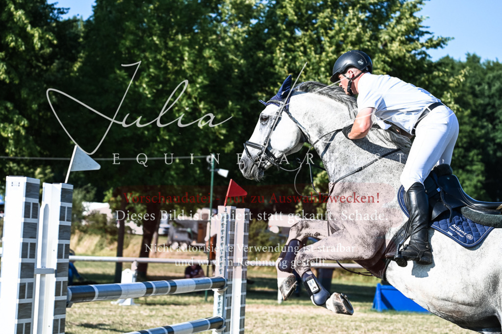 DSC_2804 | Pferde- und Turnierfotografie in Westsachsen. Pferdeportraits, Auftragszeichnungen und intuitive Kunst.