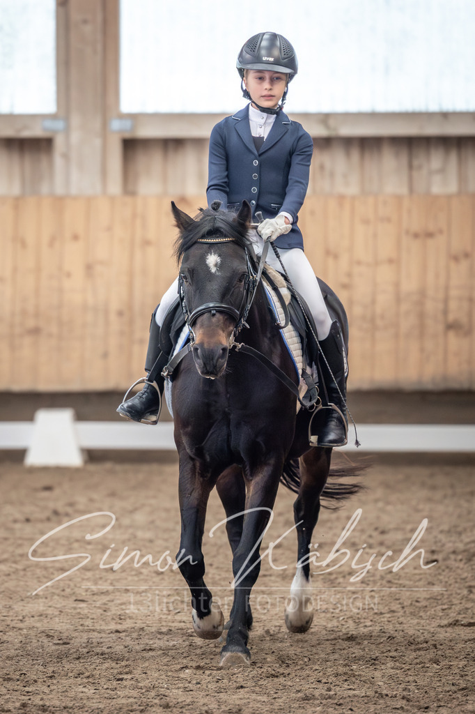 20251011-_3LI8285 | Tierfotografie Pferde, Hunde, Katzen, Haustiere.
Turnierfotografie Reitturniere, Reiten, Springreiten, Dressur in Hanau, dem Main-Kinzig-Kreis und dem Rhein-Main- Gebiet um Frankfurt