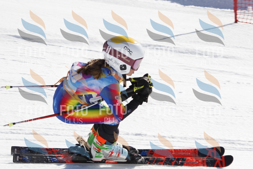 _U3G8885 | holidayphoto