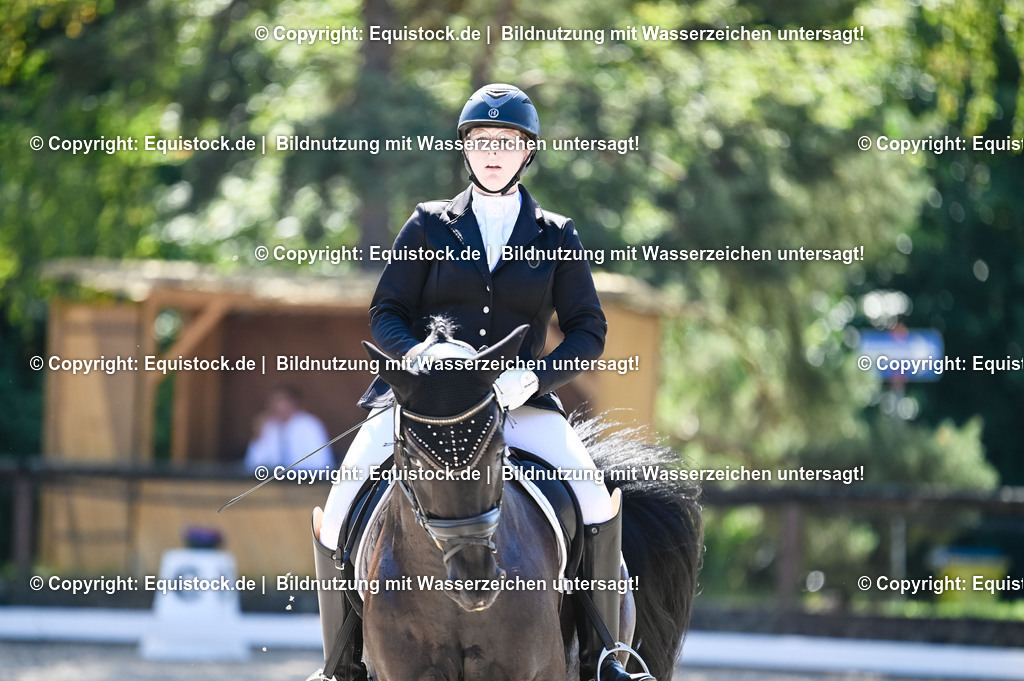 20230908_06_Dressur-L-Trense_0714 | equistock