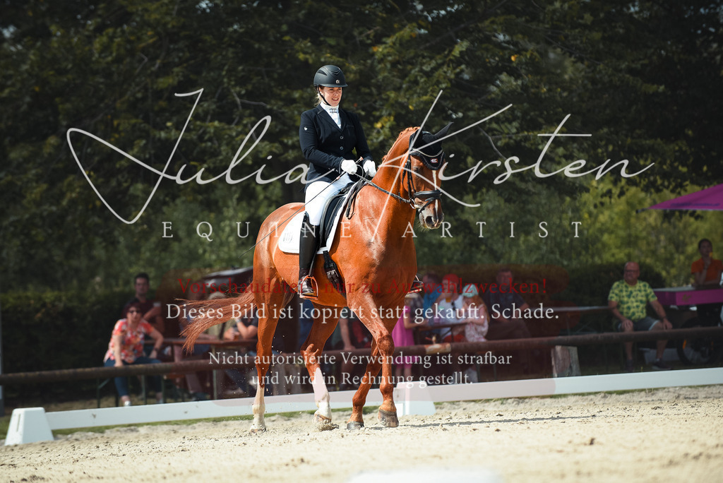 DSC_9081 | Pferde- und Turnierfotografie in Westsachsen. Pferdeportraits, Auftragszeichnungen und intuitive Kunst.