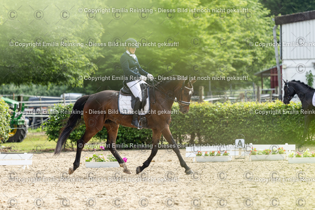 CL5A5358 | Emilia Reinking Fotografie - Realisiert mit Pictrs.com