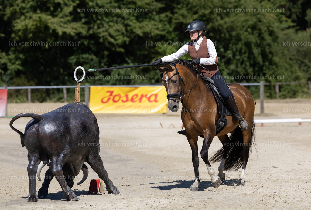 WE_Trail_23_KerstinBernhardt-11 | working equitationturnier fotograf videograf stoibphotography marixx film working equitation deutschland reitsport turnierfotografie eventfotografie equestrian events