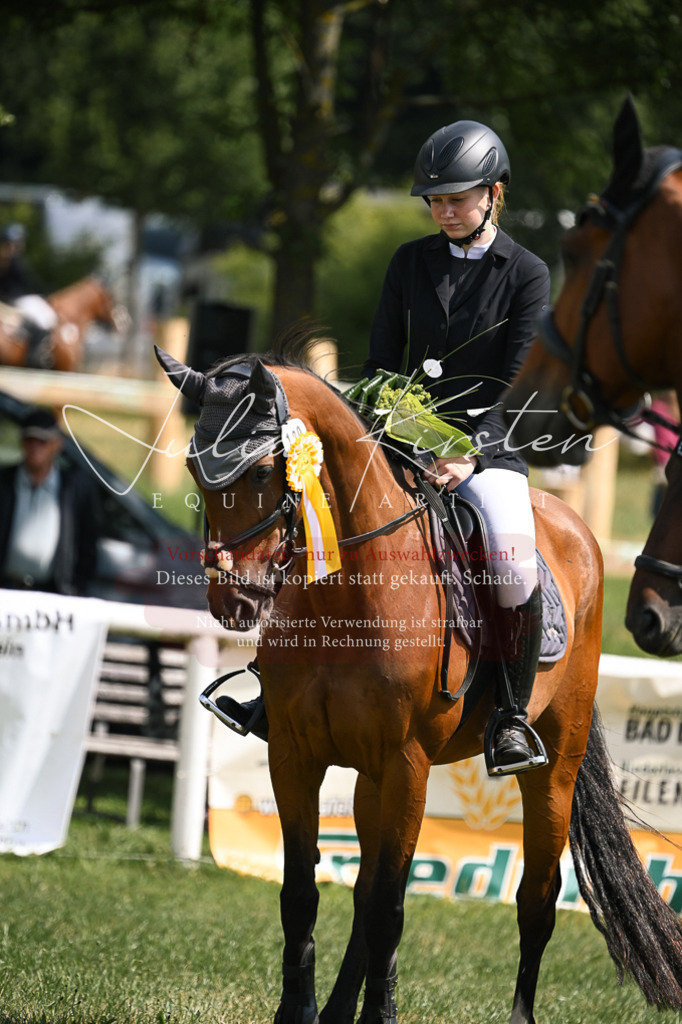 DSC_9187 | Pferde- und Turnierfotografie in Westsachsen. Pferdeportraits, Auftragszeichnungen und intuitive Kunst.