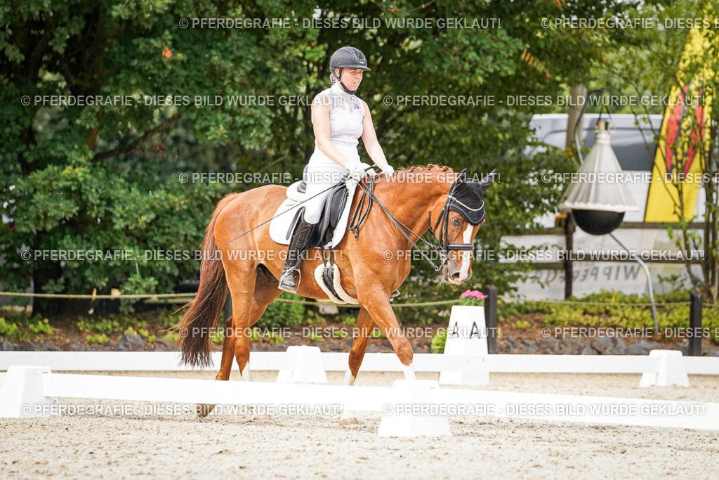 DSC07299 | Pferdegrafie