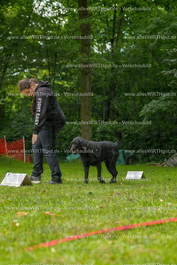 @allesWIRTHgut_Tierfotografie - www.allesWIRTHgut.de - 7R500681 | Professionelle Tierfotografie in Mönchengladbach von Daniel Wirth (allesWIRTHgut). Liebevolle & natürliche Bilder von Hunden & Katzen für unvergessliche Erinnerungen.