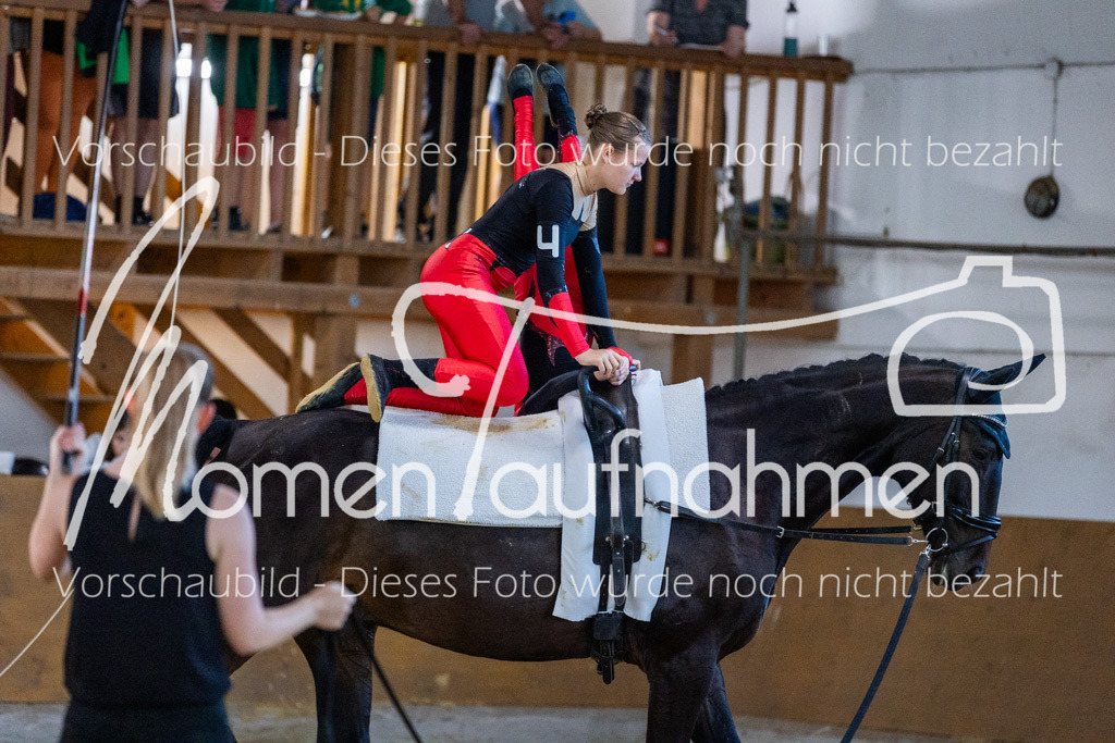 GS-NS-067 | MomenTaufnahmen Pferdesportfotos