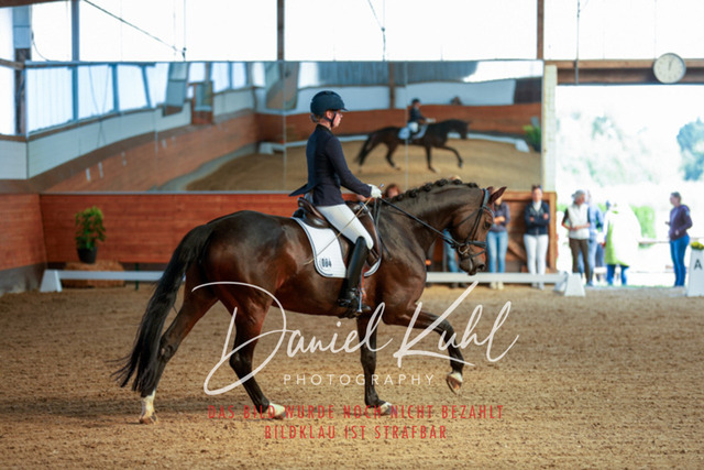_62_6461 | Turniersportfotografie; Pferdefotografie; Dressurfotografie