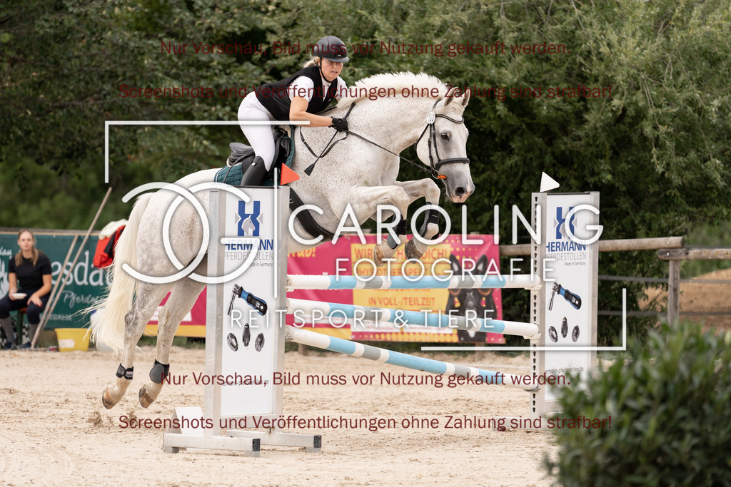 DSC06501 | Springturnier_Teamchallege_Talheim_2026, Natascha_Pfaff, Clover's_Hope_SD