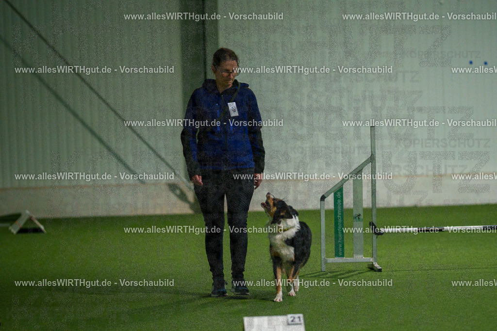 7R508200 | Professionelle Tierfotografie in Mönchengladbach von Daniel Wirth (allesWIRTHgut). Liebevolle & natürliche Bilder von Hunden & Katzen für unvergessliche Erinnerungen.