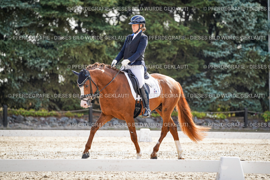 DSC06511 | Pferdegrafie