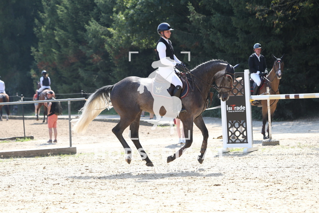 DL2Q0614 | Willkommen bei Brunnmayr - Design & Fotografie – Ihrem Spezialisten für Reitturniere und Pferdeveranstaltungen in Oberösterreich, Salzburg und Bayern! Seit über 17 Jahren sind wir leidenschaftlich dabei.