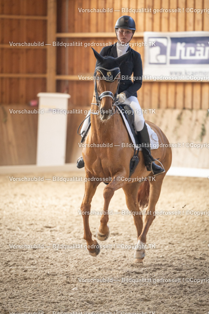 _D5A2783 | Emotionale Pferde- & People-Fotografie rund um Heidelberg, Leimen & Umgebung. Natürliche Fotos von Pferd, Mensch & Familie. Jetzt Termin sichern!