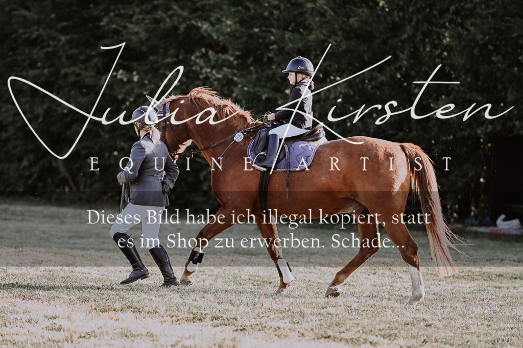 DSC_0178 | Pferde- und Turnierfotografie in Westsachsen. Pferdeportraits, Auftragszeichnungen und intuitive Kunst.