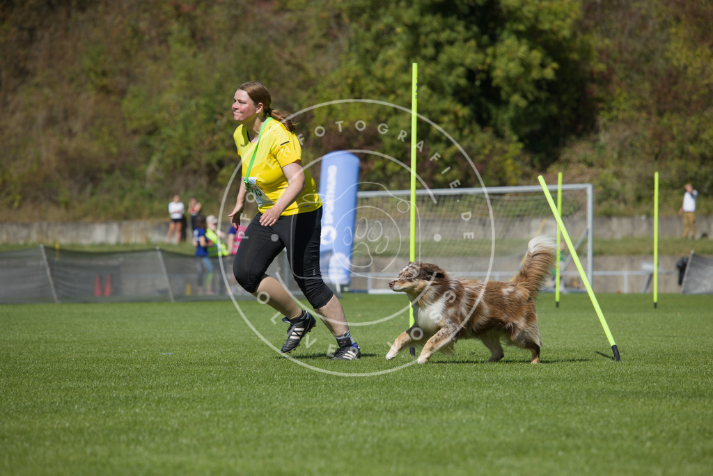 0L8A5903 | Hundefotografie, Tierfotograf, Pfotenfotografie, Fotoshooting Hund, Hunde Portrait, Hundesport, Hundeportraits, Heideshooting, Hunde, Sportfotograf, Hundefotograf, Turnierhundsport, THS,  - Realisiert mit Pictrs.com