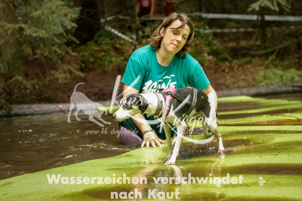 1210_ZZ92864-Bearbeitet | kk-dogfotos