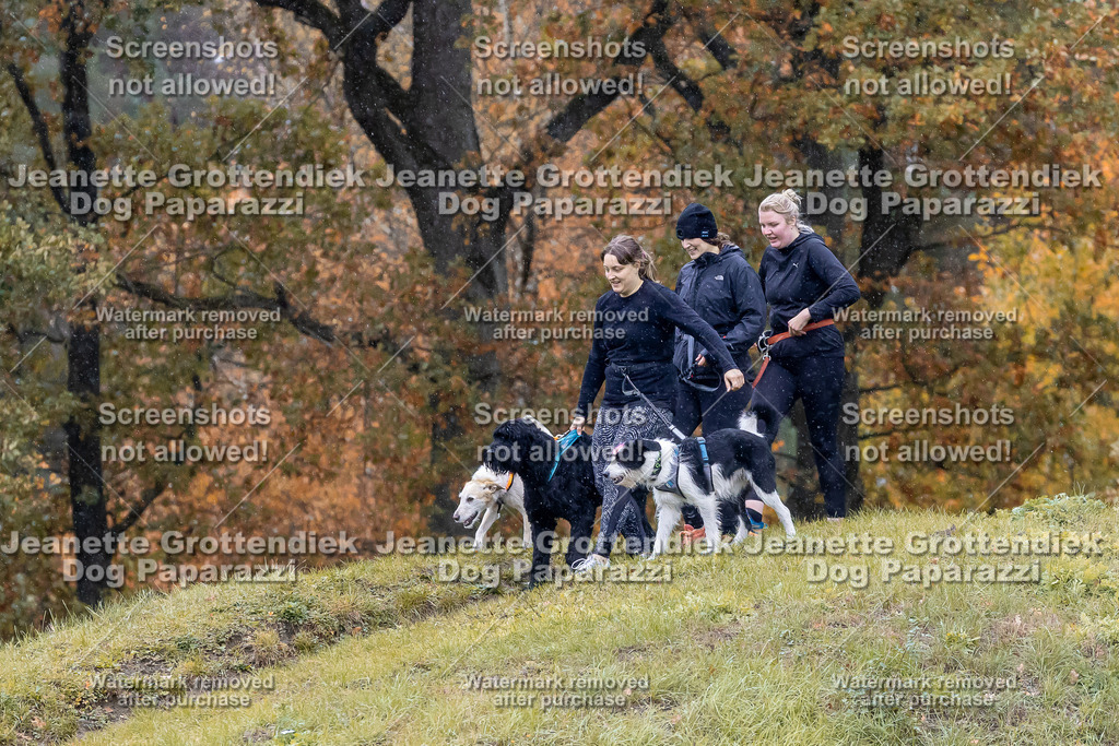 Dog Paparazzi - SD CaniX Championship 2025-725 | Dog Paparazzi Jeanette Grottendiek Fotografie & Videografie - Realisiert mit Pictrs.com