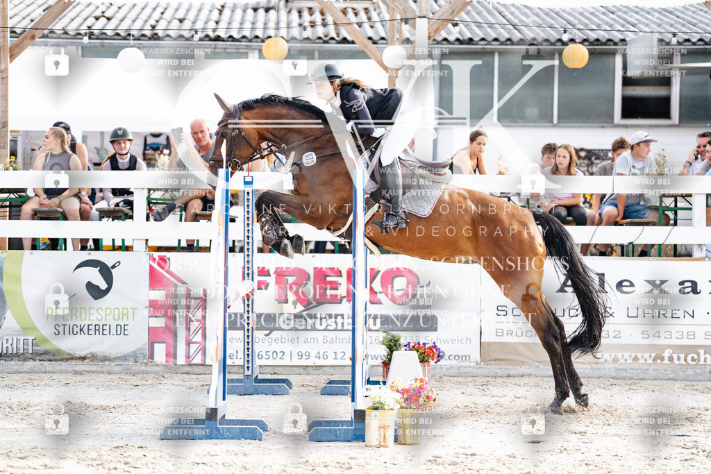 CK906766 | Turnierfotografie Pferdefotografie Trier Rheinland-Pfalz Pferdesport Reitsport Tierfotografie Sportfotografie Pferdevideo Pferdevideografie Equestrianvideography equestrianphotography  - Realisiert mit Pictrs.com