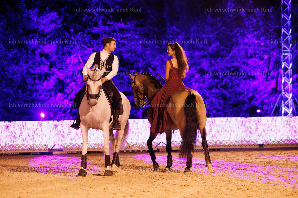 FHClassics-323 | working equitationturnier fotograf videograf stoibphotography marixx film working equitation deutschland reitsport turnierfotografie eventfotografie equestrian events