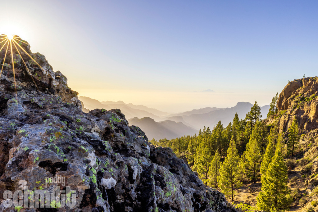 PS-Gran-Canaria-2026-40 | Entdecke die größte Bildgalerie der Region mit Fotografien aus dem Allgäu, der Bodenseeregion, Oberschwaben, dem Donautal und der Schwäbischen Alb. Landschaften, Luftaufnahmen und Reisefotografie als Wandbild und Fotokunst. - Realisiert mit Pictrs.com