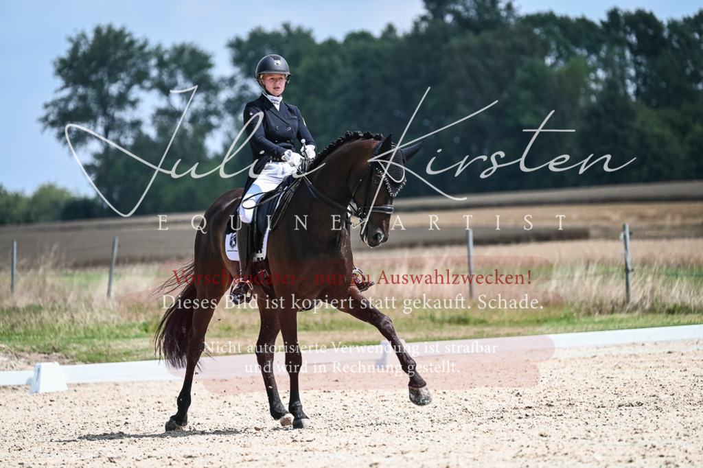 DSC_2331 | Pferde- und Turnierfotografie in Westsachsen. Pferdeportraits, Auftragszeichnungen und intuitive Kunst.