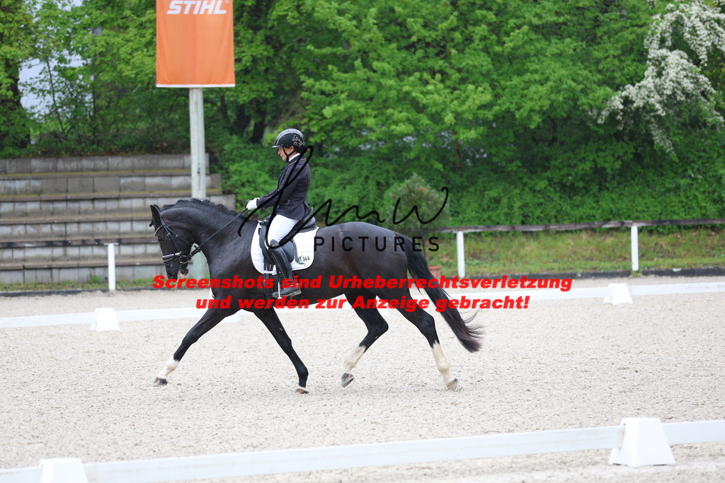 A40A7102 | lmwpictures - Realisiert mit Pictrs.com