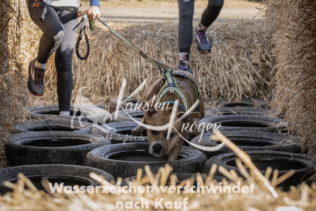 1120_ZZ91114 | kk-dogfotos