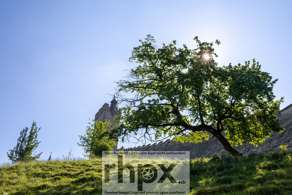 Sommerliche Museggmauer | Natur. Erbe. Sonnenstrahl.Die historische Museggmauer zeigt sich hier von ihrer lebendigsten Seite, eingerahmt von sattem Grün und strahlendem Sonnenlicht. Ein friedlicher Moment, der die jahrhundertealte Befestigungsanlage in einem frischen, zeitlosen Licht erstrahlen lässt.Wähle unter "Produktauswahl" dein Wunschformat: Vom klassischen Wandbild über Puzzle &amp; Tassen bis zum digitalen Download (z.B. als Handy-Hintergrund). - Realisiert mit Pictrs.com
