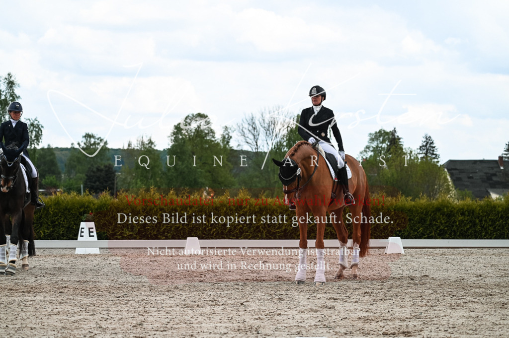 20230514_JK-Röhrsdorf-20-285 | Pferde- und Turnierfotografie in Westsachsen. Pferdeportraits, Auftragszeichnungen und intuitive Kunst.