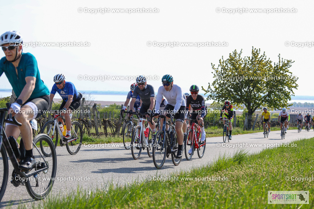 IMG_1785 | @sportshot_your_pictrs #yourpictures#roadtowm2029 #nrm #neusiedlerseeradmarathon #neusiedlersee #neusiedlerseetourismus #burgenland #mörbisch #nrm26 #burgenlandtourismus #voglundco #poweredbyburgenlandtourismus #radsport #rad #marathon #ucigranfondo #visitburgenland #ucigranfondoworldseries