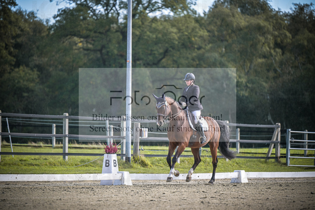 DOS_1030 | Entdecke hochwertige Reitturnierfotos von Foto Oger. Professionell, emotional und authentisch – jetzt Lieblingsmomente im Shop bestellen.Deutschlandweite Turnierfotografie. - Realisiert mit Pictrs.com