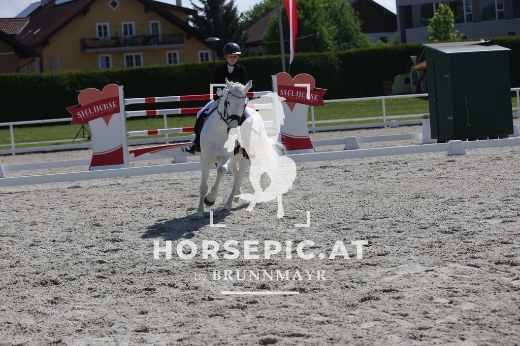 0P6A2617 | Willkommen bei Brunnmayr - Design & Fotografie – Ihrem Spezialisten für Reitturniere und Pferdeveranstaltungen in Oberösterreich, Salzburg und Bayern! Seit über 17 Jahren sind wir leidenschaftlich dabei.