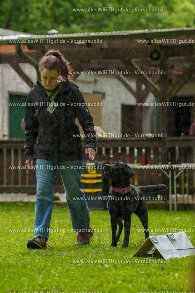 @allesWIRTHgut_Tierfotografie - www.allesWIRTHgut.de - 101657-7R508284 | Professionelle Tierfotografie in Mönchengladbach von Daniel Wirth (allesWIRTHgut). Liebevolle & natürliche Bilder von Hunden & Katzen für unvergessliche Erinnerungen.