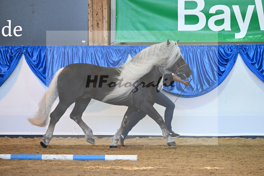 Kat-Nr. 118 Wilano_Meier_53220842 | hf-fotografie - Realizzato con Pictrs.com