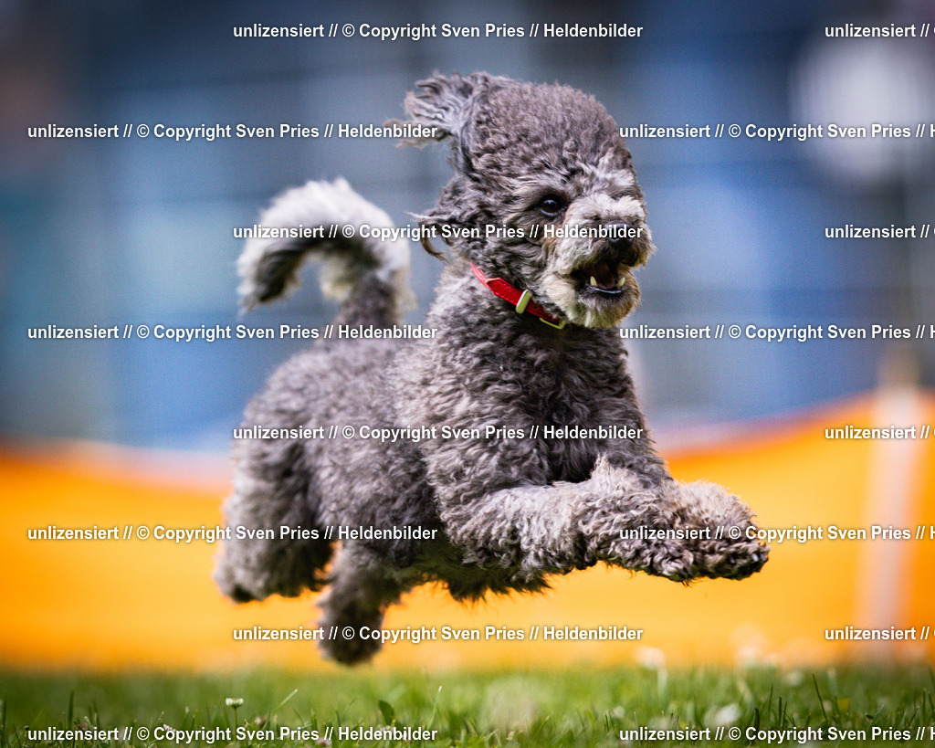 Sven Pries | 2025-05-29 - Pudelrennen KA-Durlach - Realisiert mit Pictrs.com