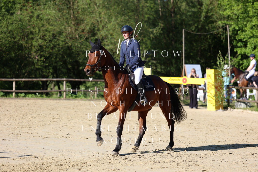 IMGS5711 | pl-fotografie