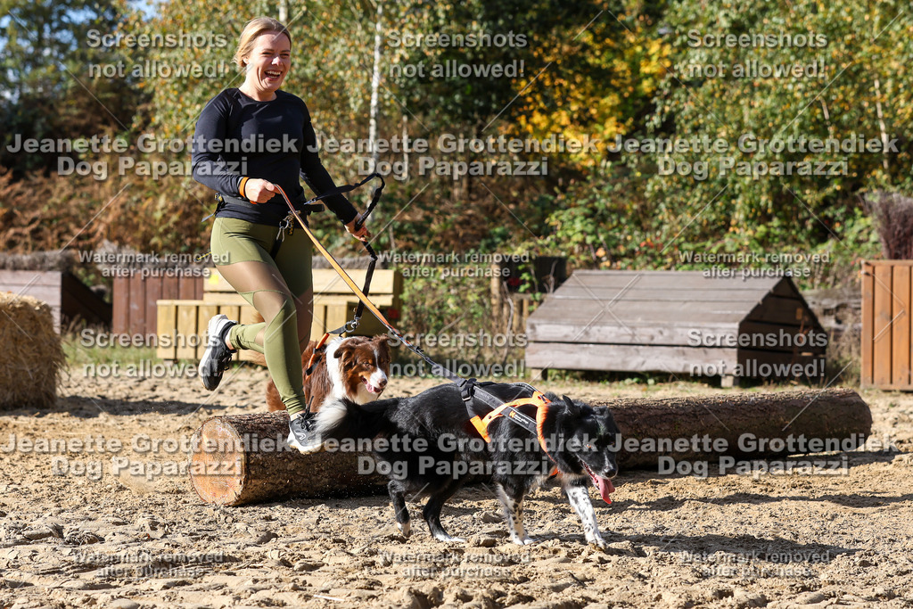 Dog Paparazzi - Strongdog 10-25-4887 | Dog Paparazzi Jeanette Grottendiek Fotografie & Videografie - Realisiert mit Pictrs.com