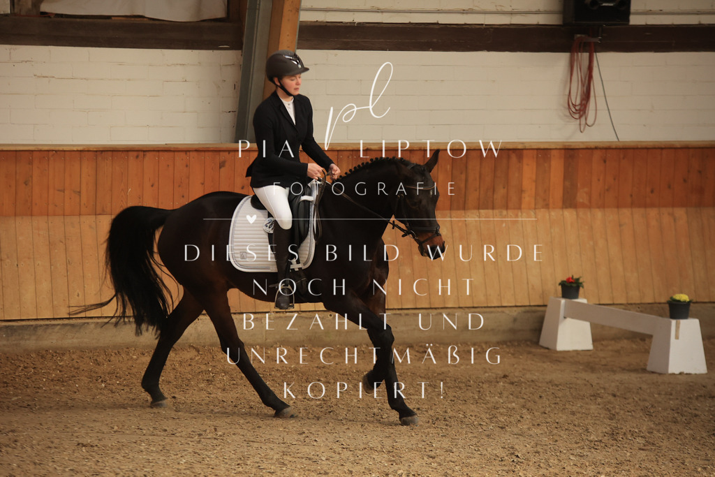 IMGT4111 | pl-fotografie