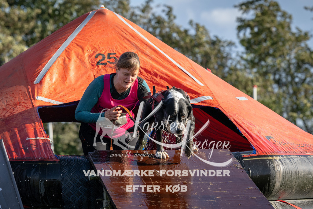 1452-90212 | kk-dogfotos