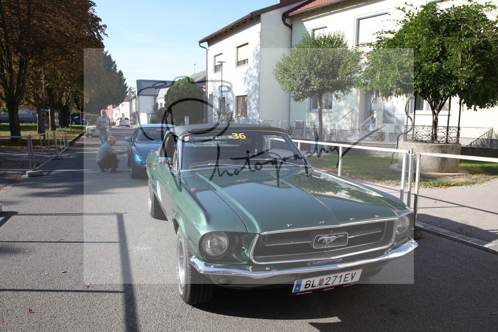 IMG_4258 | Gerhard Witt