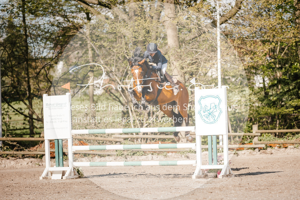 3I6A3735 | Stimmungsvolle Portraits und Reitsportfotografie im Ruhrgebiet und im Münsterland.

Pferdefotografie, Hundefotografie, Tierfotografie, Reportagen, Portraits von Tier und Mensch, Turnierfotografie in Bochum, Recklinghausen, Marl, Haltern am See, Dülmen.. - Realisiert mit Pictrs.com
