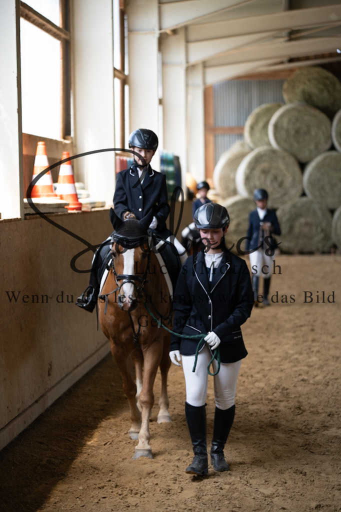 A7V08242 | Pferdefotograf