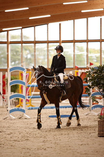 1J2A7200Fiby Sosna_ D_Amour du Foret Z_ Kn197_ Glantz_ Hohen Wieschendorf | Foto- und Videografie für alles rund ums Pferd. Hochwertige Bilder und Videos vom Spring- und Dressurreiten, Voltigieren & mehr. Jetzt aktuelle Veranstaltungen und Preise im Shop ansehen. - Realisiert mit Pictrs.com