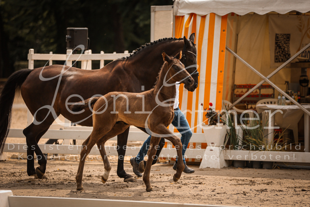 SaPA00063 | Leoni Ertmer Photography - Realisiert mit Pictrs.com