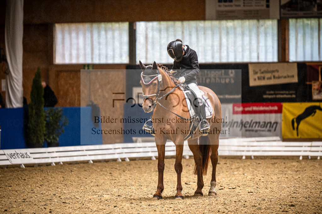 DOS_1517 | Entdecke hochwertige Reitturnierfotos von Foto Oger. Professionell, emotional und authentisch – jetzt Lieblingsmomente im Shop bestellen.Deutschlandweite Turnierfotografie. - Realisiert mit Pictrs.com