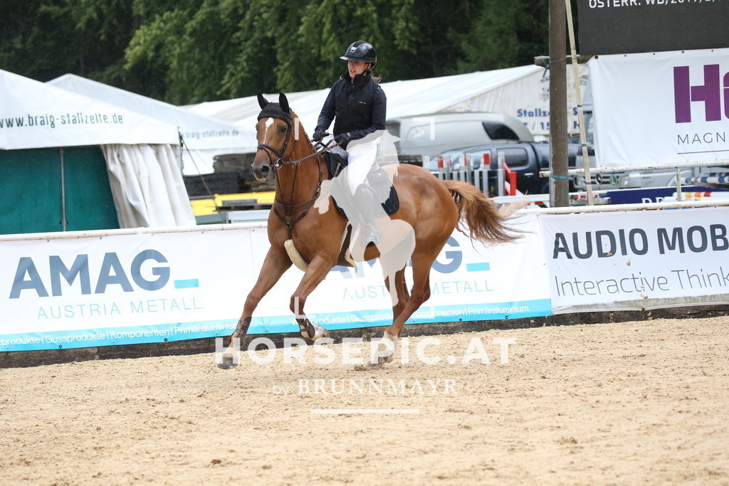 DL2Q2313 | Willkommen bei Brunnmayr - Design & Fotografie – Ihrem Spezialisten für Reitturniere und Pferdeveranstaltungen in Oberösterreich, Salzburg und Bayern! Seit über 17 Jahren sind wir leidenschaftlich dabei.