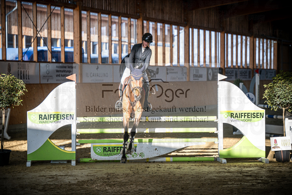 DOS_0848 | Entdecke hochwertige Reitturnierfotos von Foto Oger. Professionell, emotional und authentisch – jetzt Lieblingsmomente im Shop bestellen.Deutschlandweite Turnierfotografie. - Realisiert mit Pictrs.com