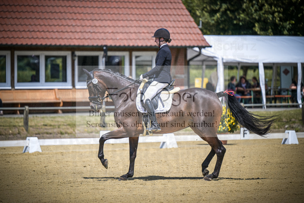 DOS_4219 | Entdecke hochwertige Reitturnierfotos von Foto Oger. Professionell, emotional und authentisch – jetzt Lieblingsmomente im Shop bestellen.Deutschlandweite Turnierfotografie. - Realisiert mit Pictrs.com