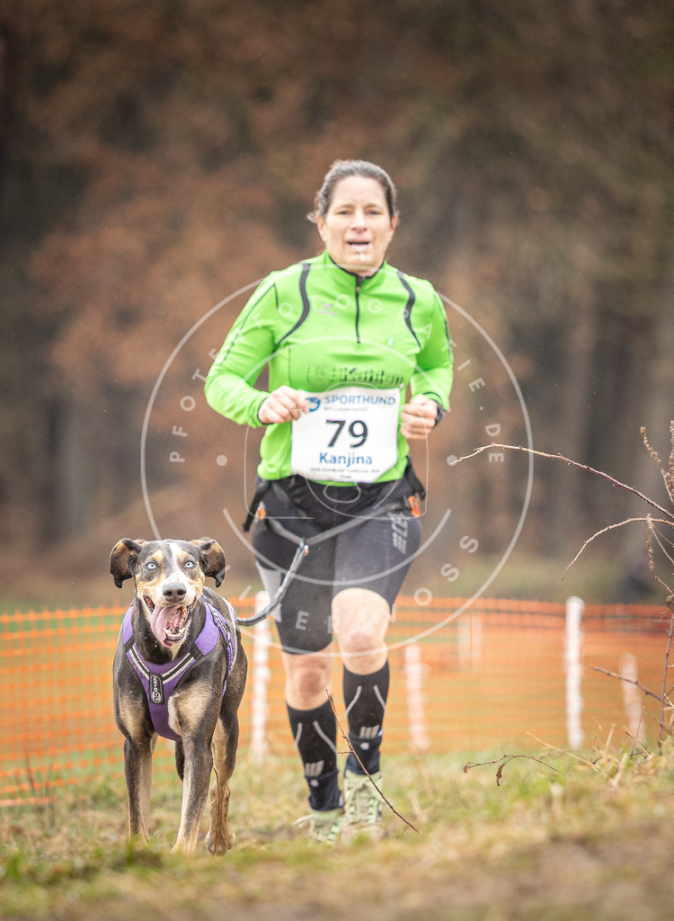 DV3A0314 | Hundefotografie, Tierfotograf, Pfotenfotografie, Fotoshooting Hund, Hunde Portrait, Hundesport, Hundeportraits, Heideshooting, Hunde, Sportfotograf, Hundefotograf, Turnierhundsport, THS,  - Realisiert mit Pictrs.com